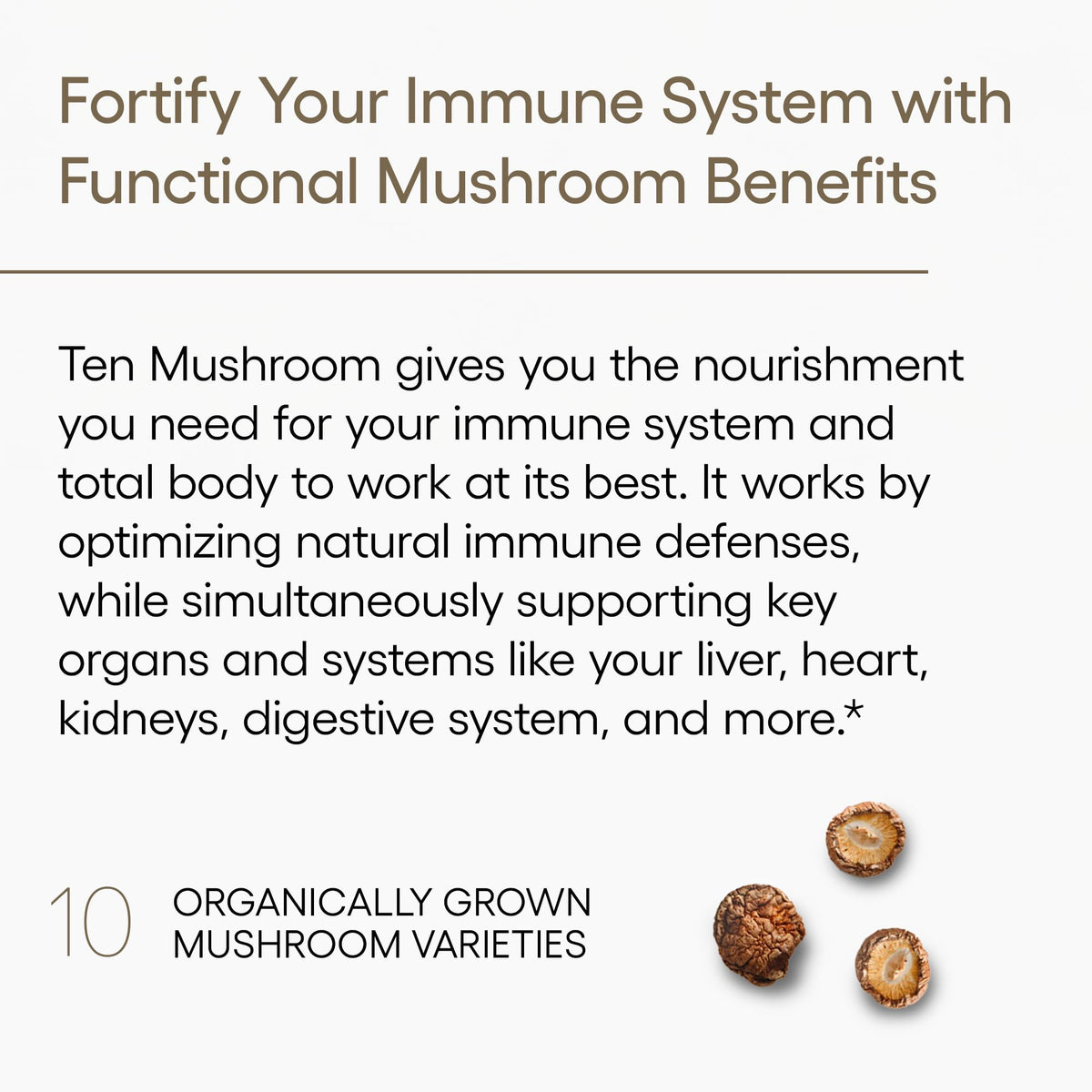 EcoNugenics Ten Mushroom Supplement - 120 Capsules - image 3