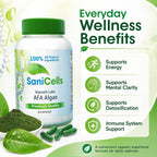 TROYA Sanicells AFA Blue-Green Algae Supplement 600mg - 90 Capsules - image 4