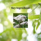 Nature's Sunshine Valerian Root Extract Time Release - 60 Capsules - image 3