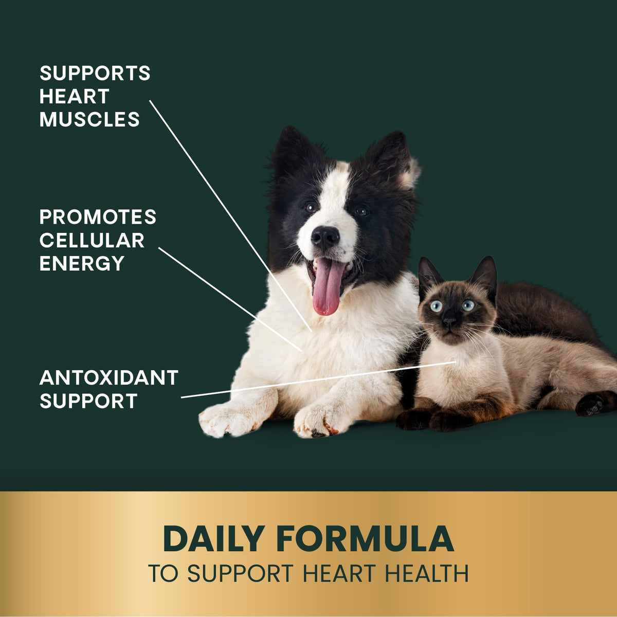 VetriScience CoQ10 Healthy Heart Capsules for Dogs and Cats - 100 Count - image 5