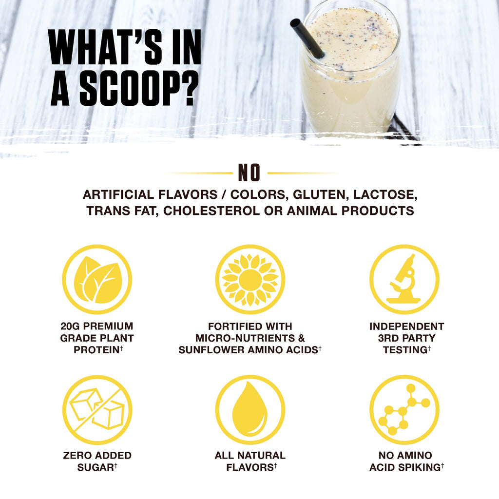 Ambrosia Planta - Premium Plant-Based Protein