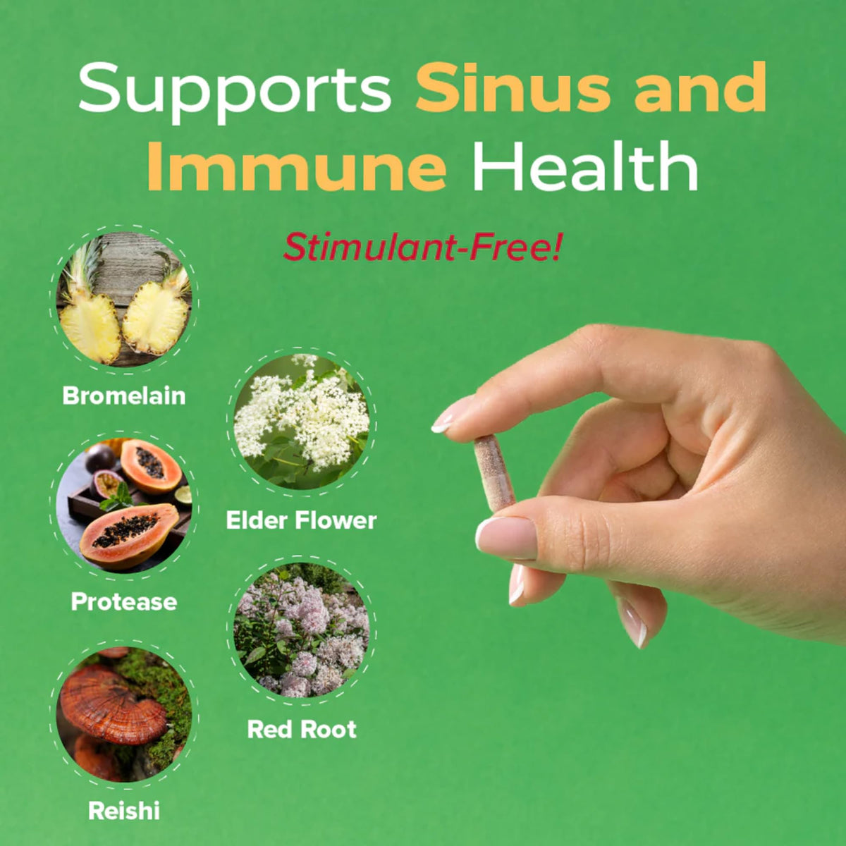 Redd Remedies SinuZyme Sinus Support - 40 Capsules - image 3