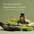 Gaia Herbs Adaptogen Performance - 60 Vegan Capsules - image 3