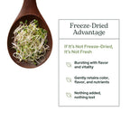 Eclectic Herb Organic Broccoli Sprouts Powder - 4.3 oz - image 5