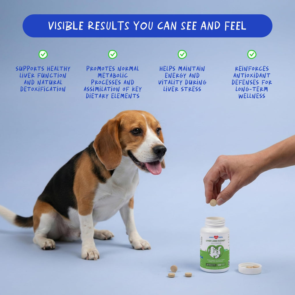 Coco and Luna Milk Thistle for Dogs Liver Support - 120 Tablets - image 2
