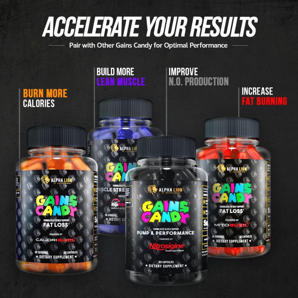 ALPHA LION Gains Candy