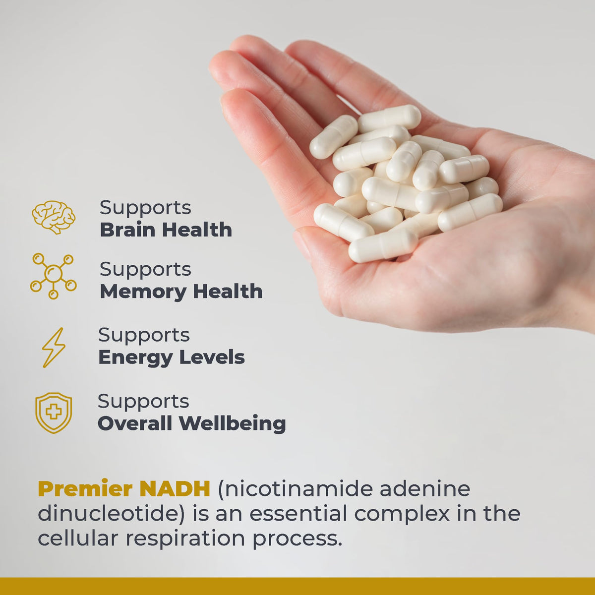 Premier Research Labs NADH 10 mg Brain Support - 30 Vegetarian Capsules - image 4