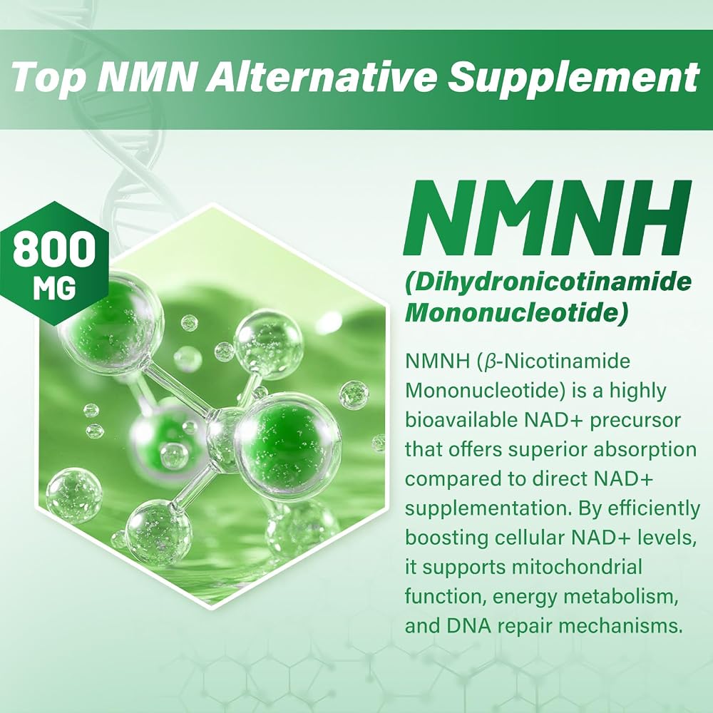 SUPRANOURISH NMNH Supplement