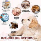 FSLHCY Iron Supplement for Dogs Liquid - 2 fl oz - image 7
