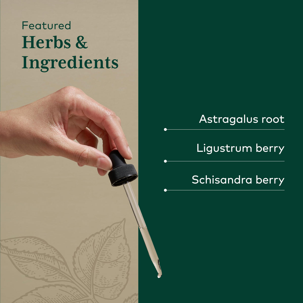 Gaia Herbs PRO 3-in-1 Immune Formula - 2 fl oz - image 4