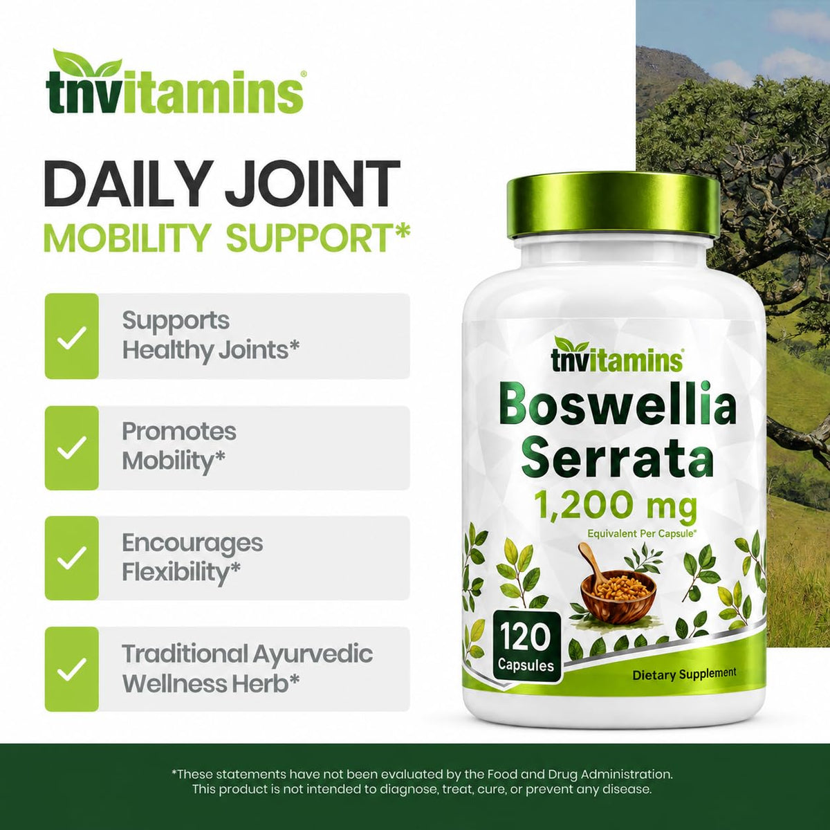 tnvitamins Boswellia Extract Capsules Joint Support - 120 Capsules - image 4