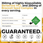BrocElite BerbElite Berberine HCL with Broccoli Seed Complex - 60 Capsules - image 2