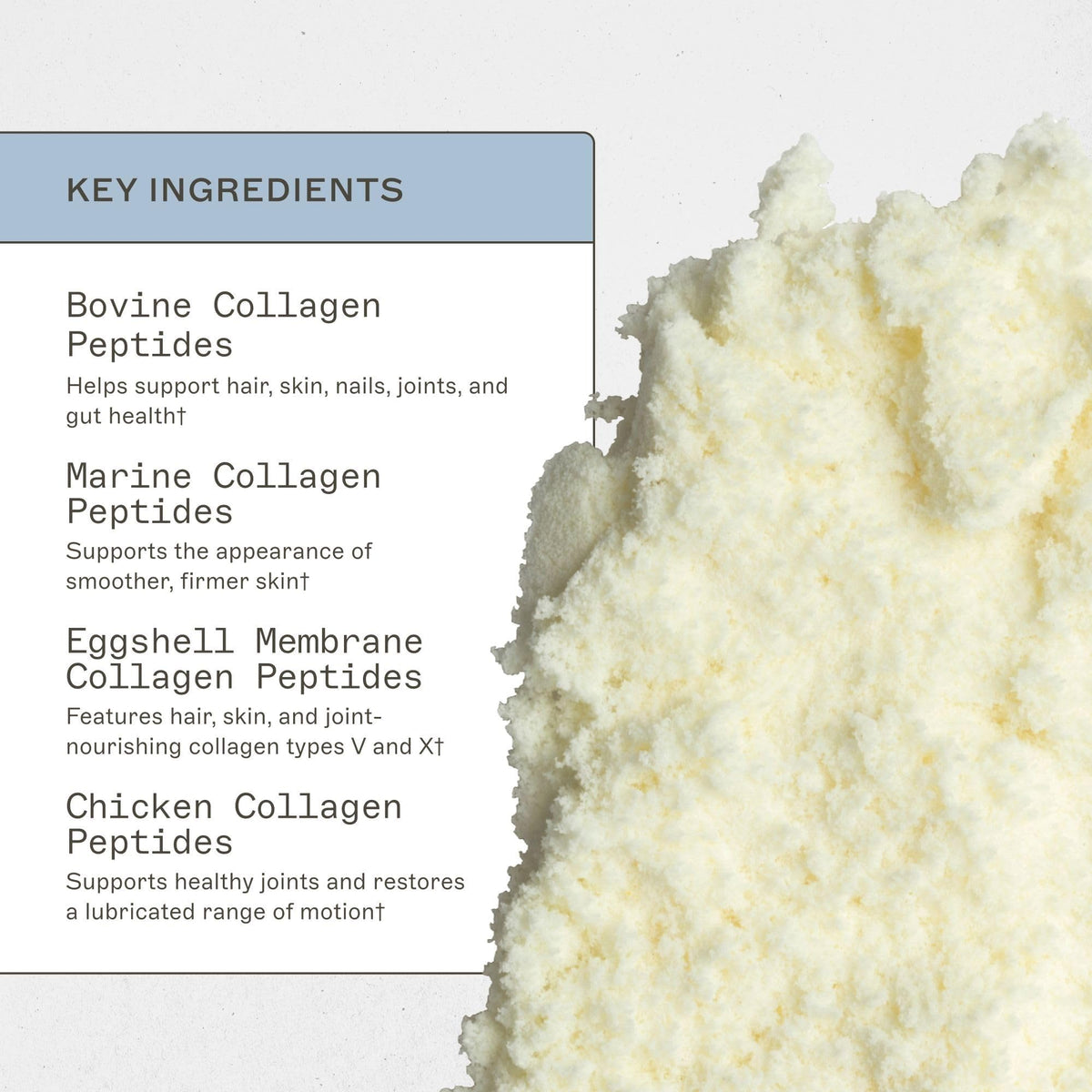 Amy Myers MD Spectrum 5 Collagen Peptides Powder - 30 Servings - image 3