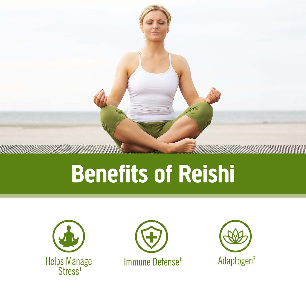 OM Mushroom Superfood Reishi Organic Powder for Stress Relief - 100 Servings - image 3