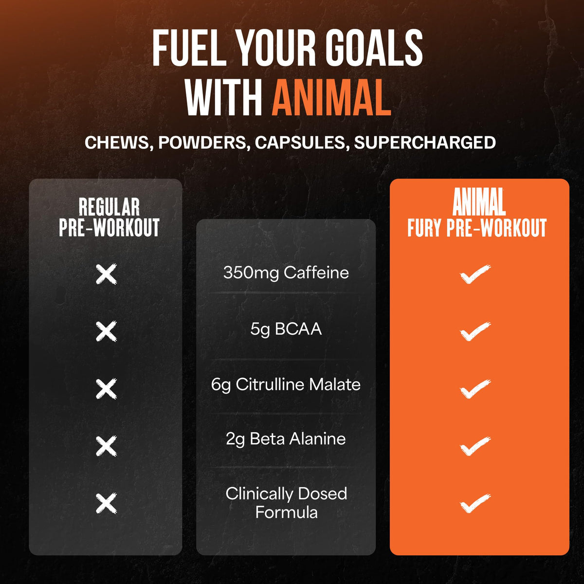 Animal