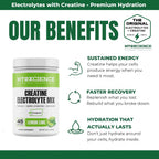 MYOXCIENCE Electrolyte STIX