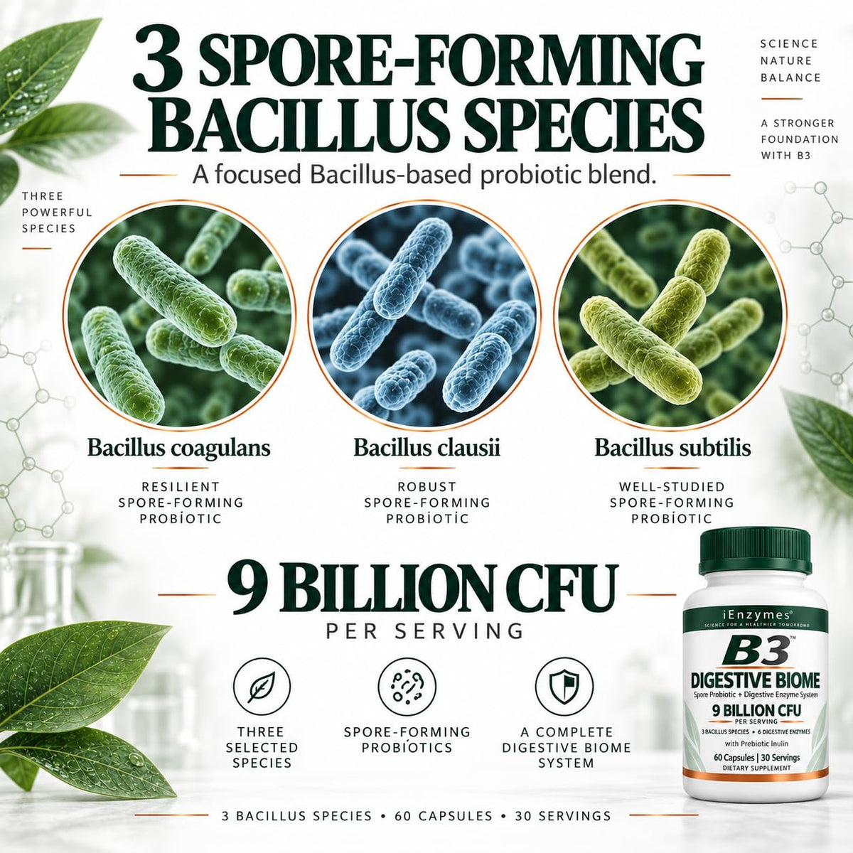 iEnzymes Bacillus B3 Spore-Based Probiotic + Enzymes - 300 Capsules - image 5