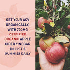 Garden of Life Organics Apple Cider Vinegar Probiotic Gummies - 60 Gummies - image 2