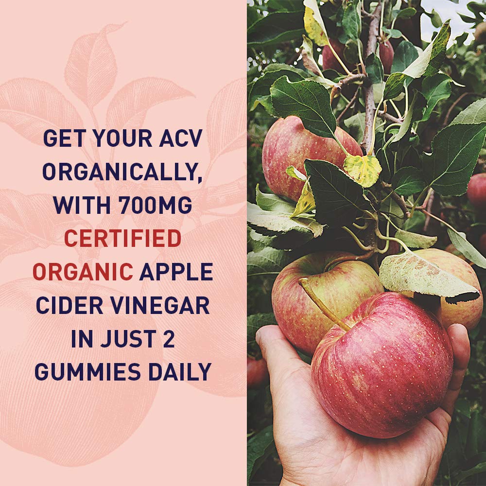 Garden of Life Organics Apple Cider Vinegar Probiotic Gummies - 60 Gummies - image 2