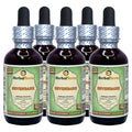 Herbal Terra LLC Sevenbark (Hydrangea Arborescens) Tincture