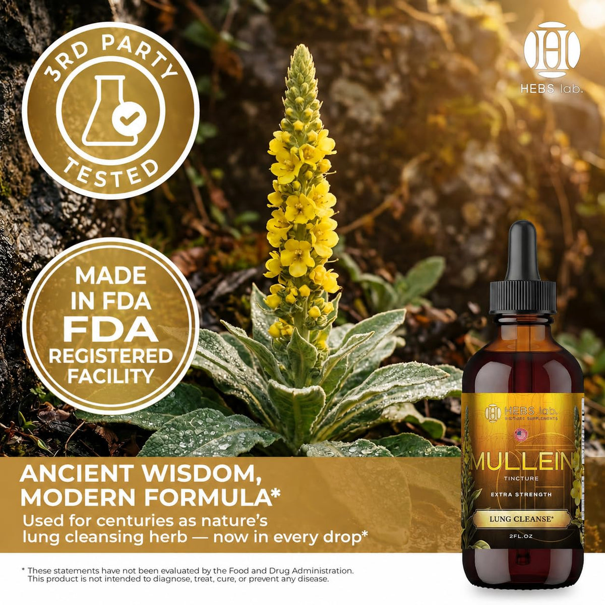 HEBS LAB. Mullein Extract Parent
