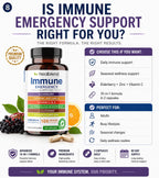 healblend 10 in 1 Immune Support Supplement with Elderberry & Zinc - image 8