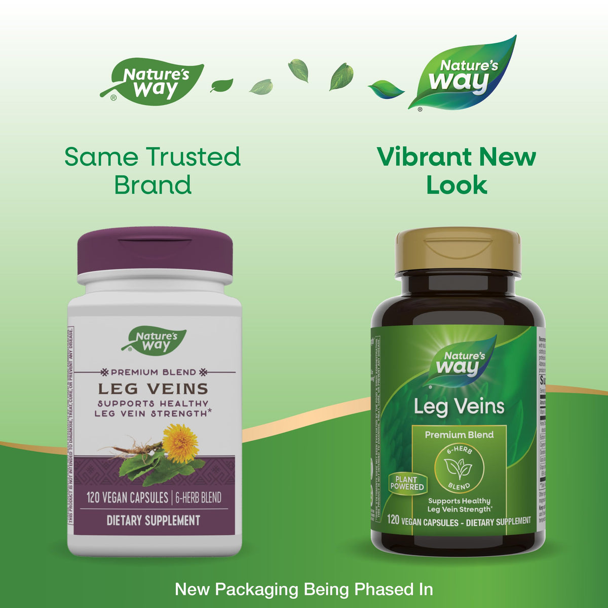Nature's Way Leg Veins Support Blend - 120 Vegetarian Capsules - image 3
