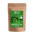 Blessfull Healing Organic Graviola Leaf Powder 100% Pure Natural 200