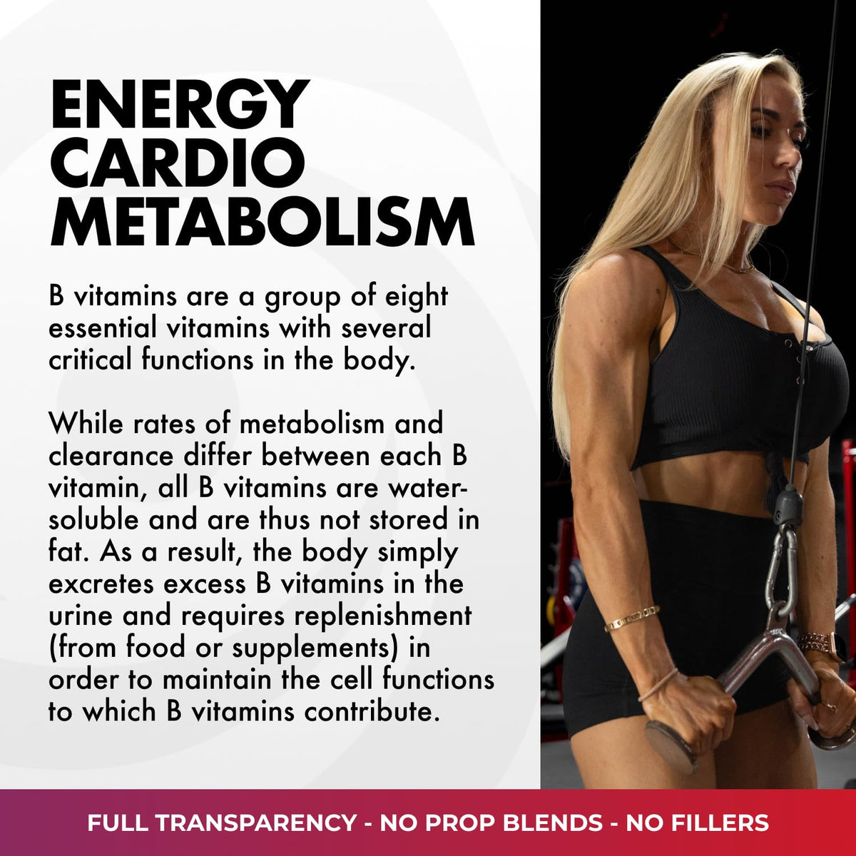 Core Nutritionals B Complex Energy Metabolism Support - 90 Vegetarian Capsules - image 4