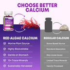 VZOXAINS Calcium Magnesium Zinc Gummies