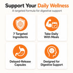 Balance ONE CandAssist Candida Cleanse Support - 90 Capsules - image 6