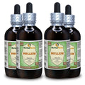 Herbal Terra LLC Psyllium (Plantago Ovata) Tincture