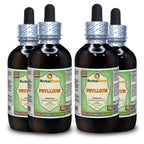 Herbal Terra LLC Psyllium (Plantago Ovata) Tincture