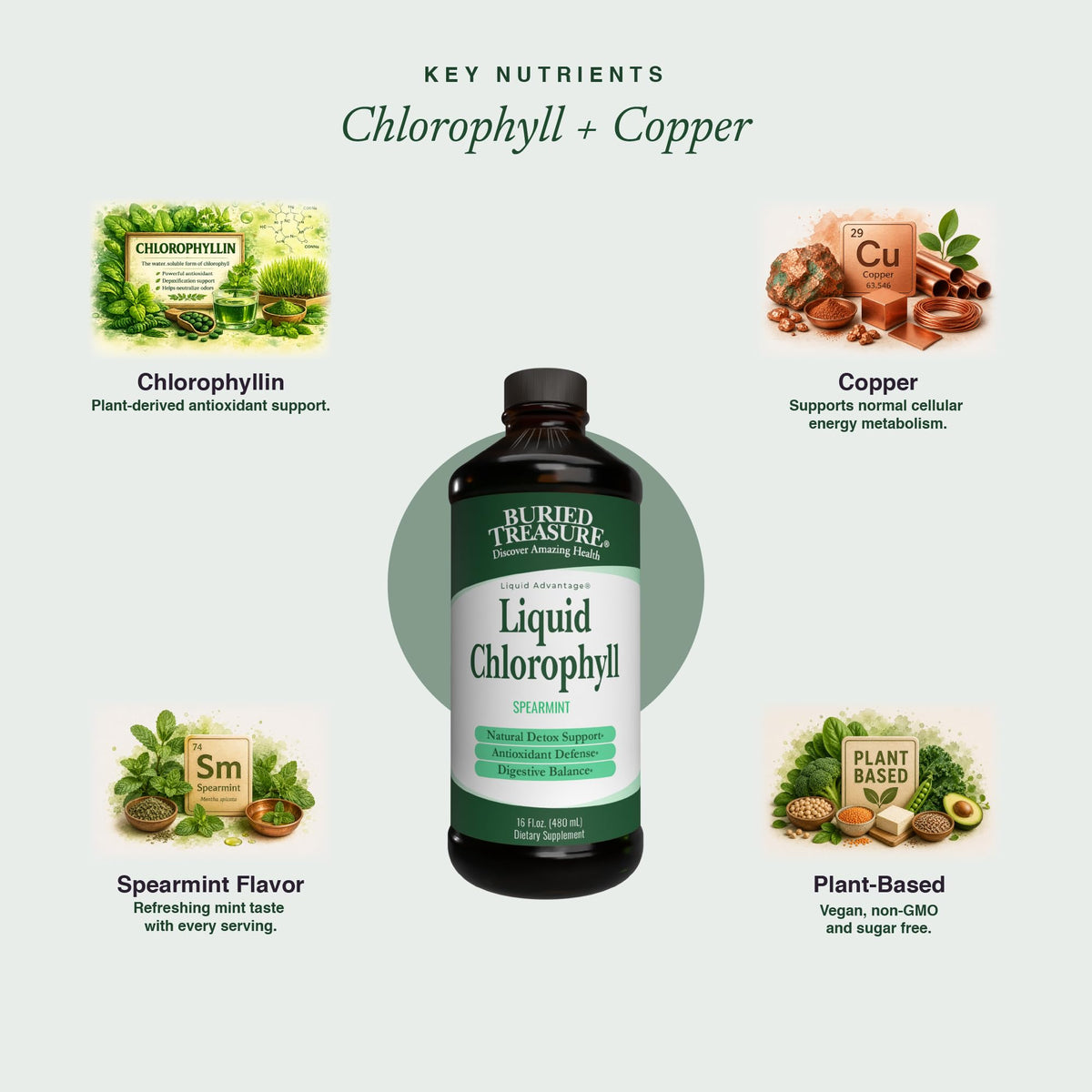 Buried Treasure Liquid Chlorophyll 100 mg Energy Support - 16 oz - image 4