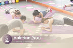 PURE ORIGINAL INGREDIENTS Valerian Root - 100 Capsules - image 5