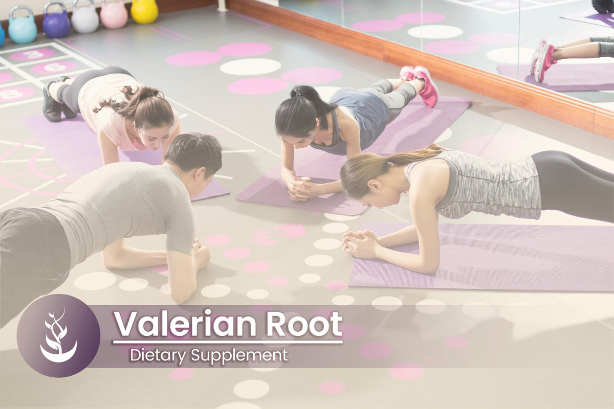PURE ORIGINAL INGREDIENTS Valerian Root - 100 Capsules - image 5