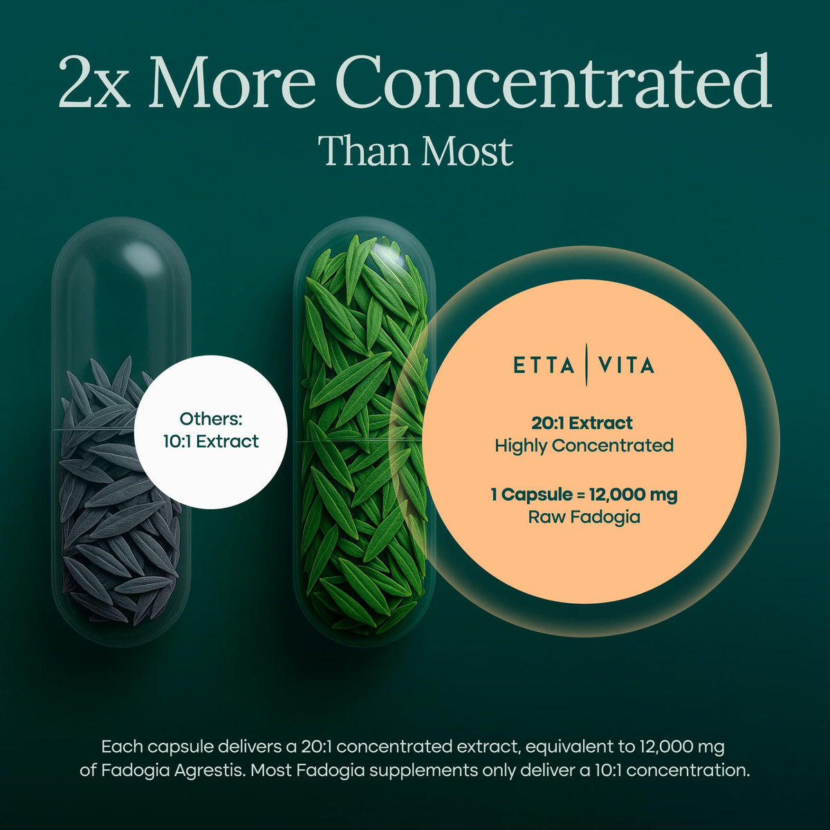 Etta Vita Fadogia Agrestis 600mg Energy & Drive Support - 60 Capsules - image 4