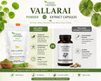 YOGIS HERBS Vallarai Powder Centella Asiatica for Cognitive Wellness - 16 oz - image 2