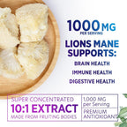 Nature's Nutrition Lion's Mane Mushroom Supplement - Extra Strength