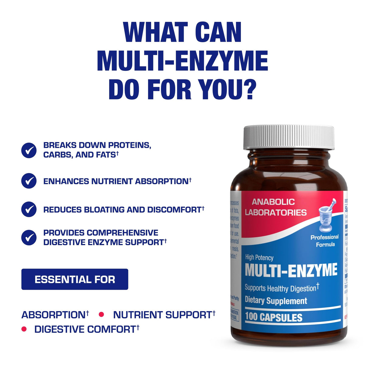 Anabolic Laboratories Multi Digestive Enzymes with Ox Bile - 100 Capsules - image 5