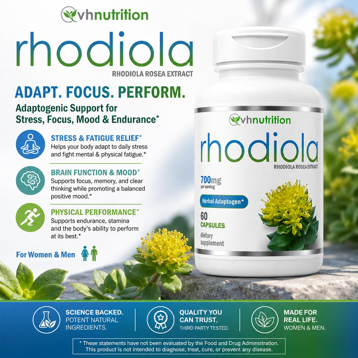 VH Nutrition Rhodiola Rosea Supplement 3% Salidrosides - 60 Capsules - image 2
