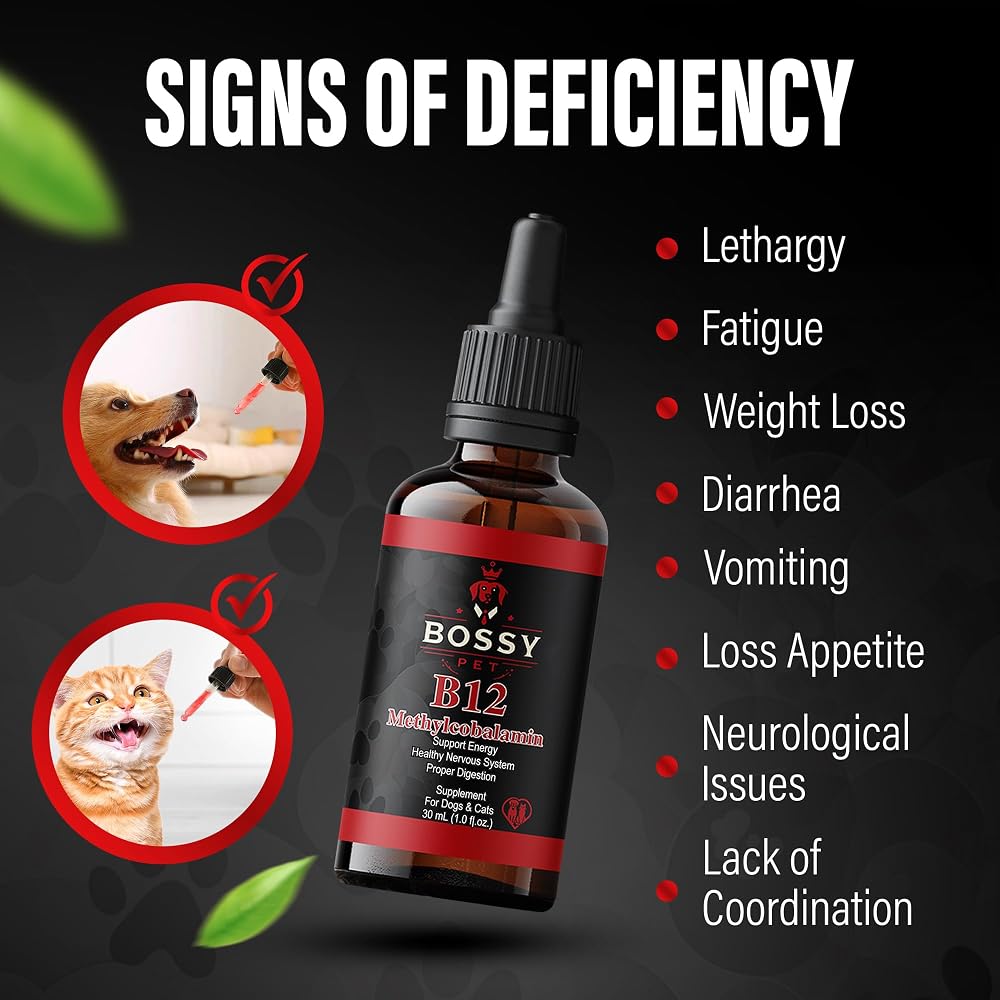 Bossy Pet Vitamin B12 Liquid Supplement for Dogs & Cats - 1 Fl Oz - image 4
