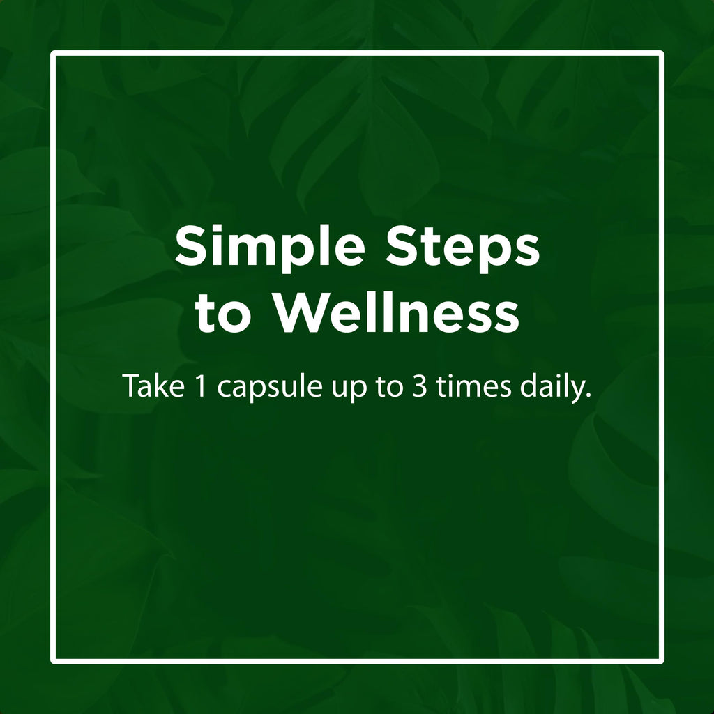 Flora - Immediate Support Digestive Enzymes - Supports Lactose