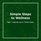 Flora - Immediate Support Digestive Enzymes - Supports Lactose