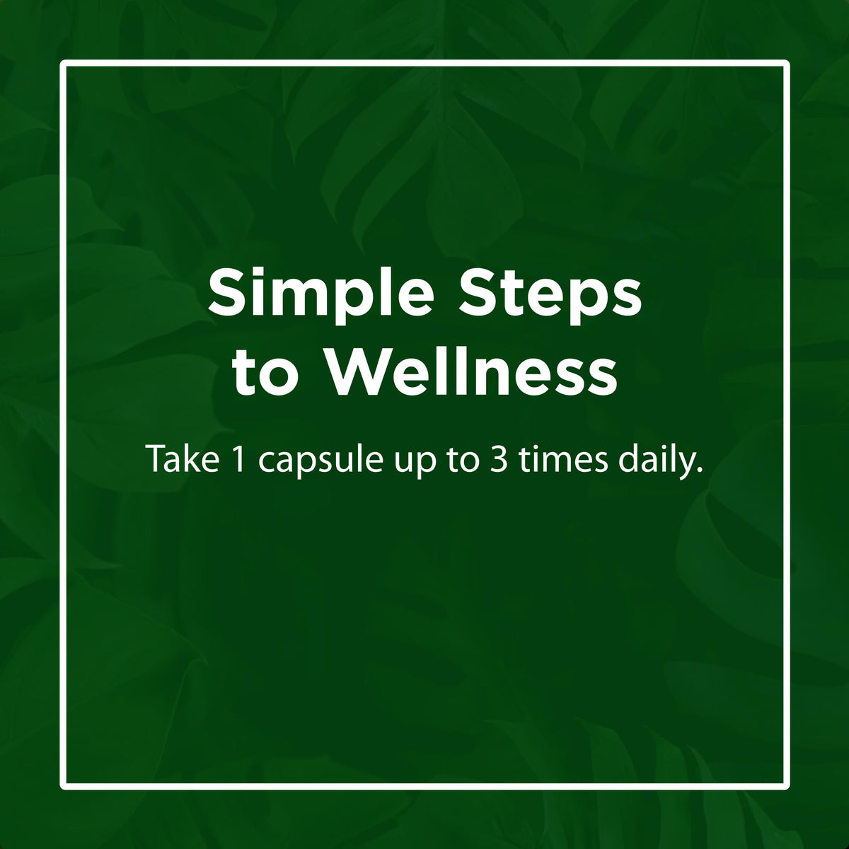 Flora - Immediate Support Digestive Enzymes - Supports Lactose
