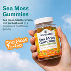 TrueSeaMoss Irish Sea Moss Gummies with Burdock Root - 60 Gummies - image 2