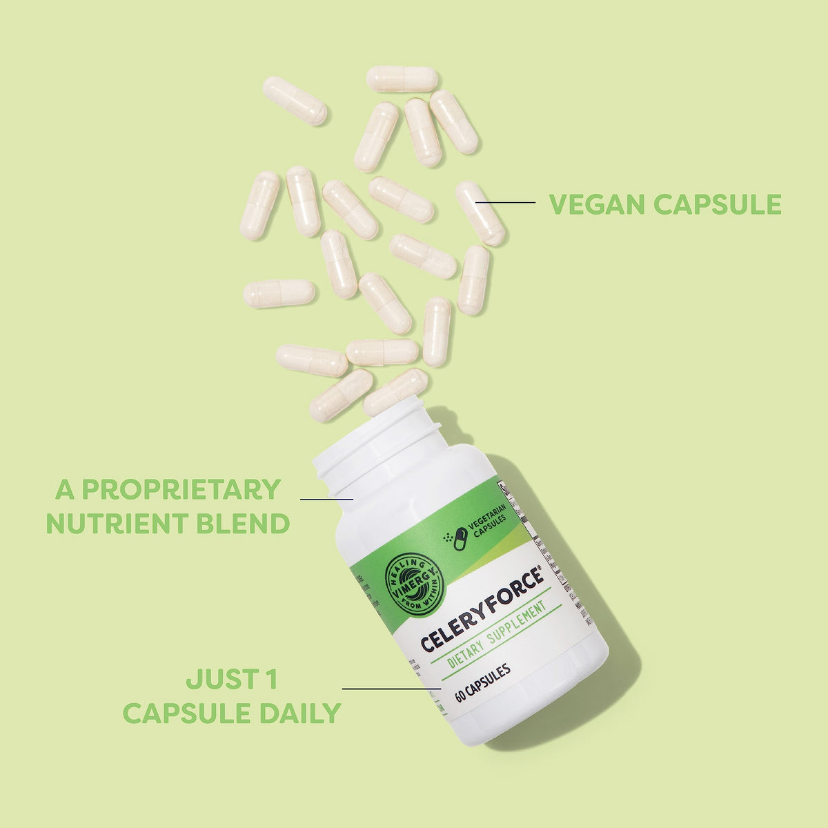 Vimergy Celeryforce Magnesium + Amino Acids - 60 Capsules - image 3