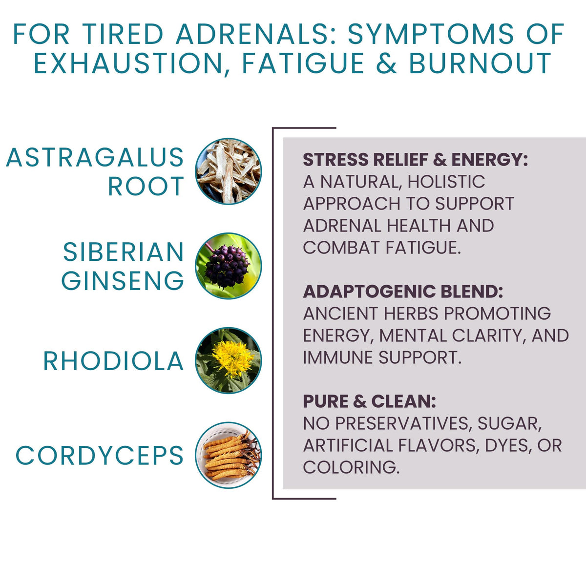 Women's Health Network Adaptisol Adrenal Support - 120 Capsules - image 2