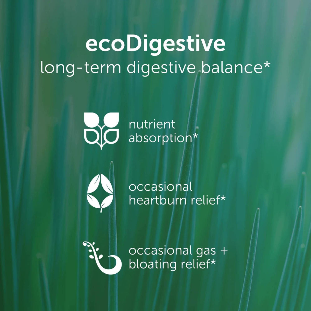 EcoNugenics ecoDigest Digestive Health Supplement - 60 Capsules - image 2