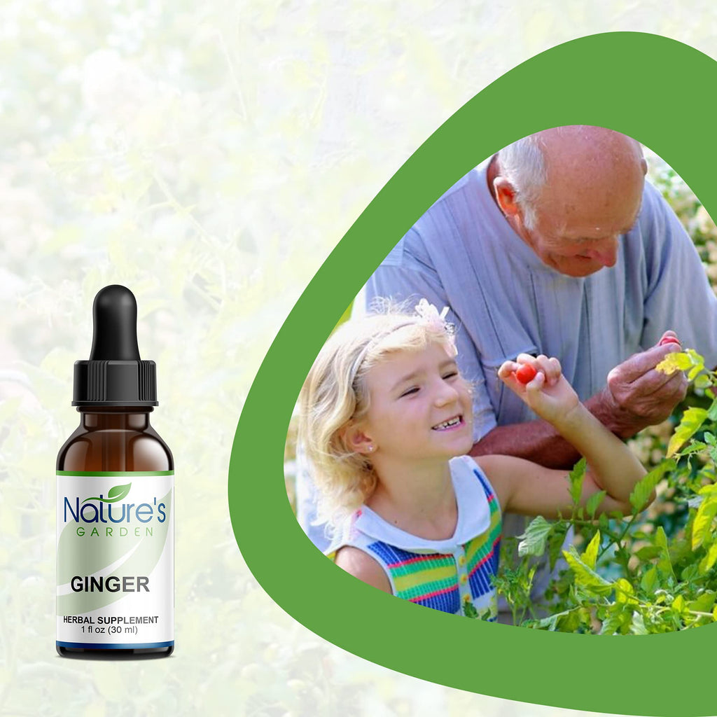 Nature's Garden Essentials Ginger Liquid Single Herb - 1 oz - image 4